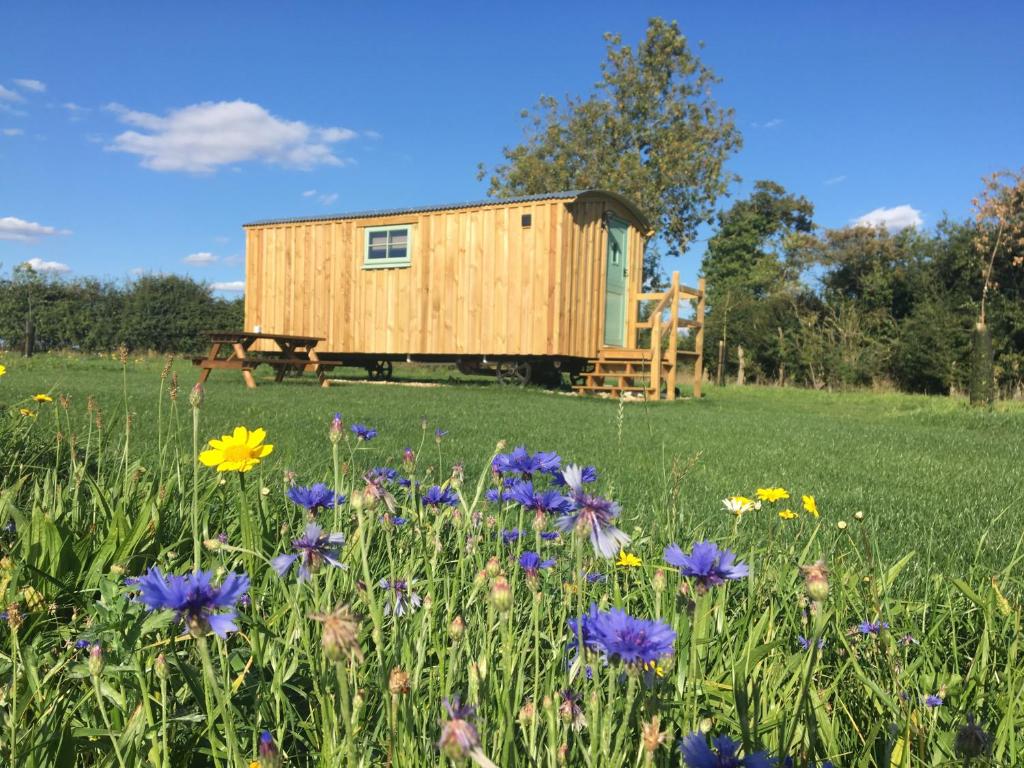 a wooden cabin in a field with flowers at 2 - Daisy in Woodbridge