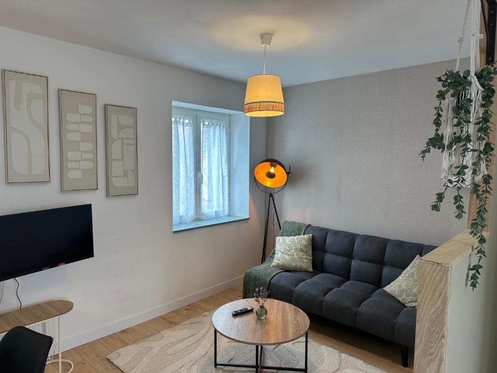 a living room with a couch and a table at Résidence le 1564 Vert in Roussillon en Isere