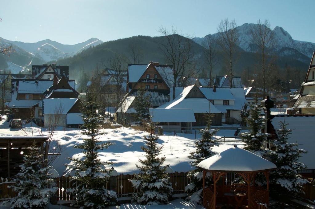 een dorp bedekt met sneeuw met bomen en huizen bij Zakopane - Apartament z widokiem in Zakopane