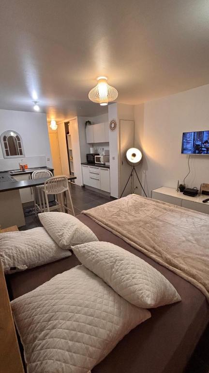 a large bedroom with two beds and a kitchen at Studio à Sainte-Marie Studio Calme-Bord de mer avec Piscine in Sainte-Marie