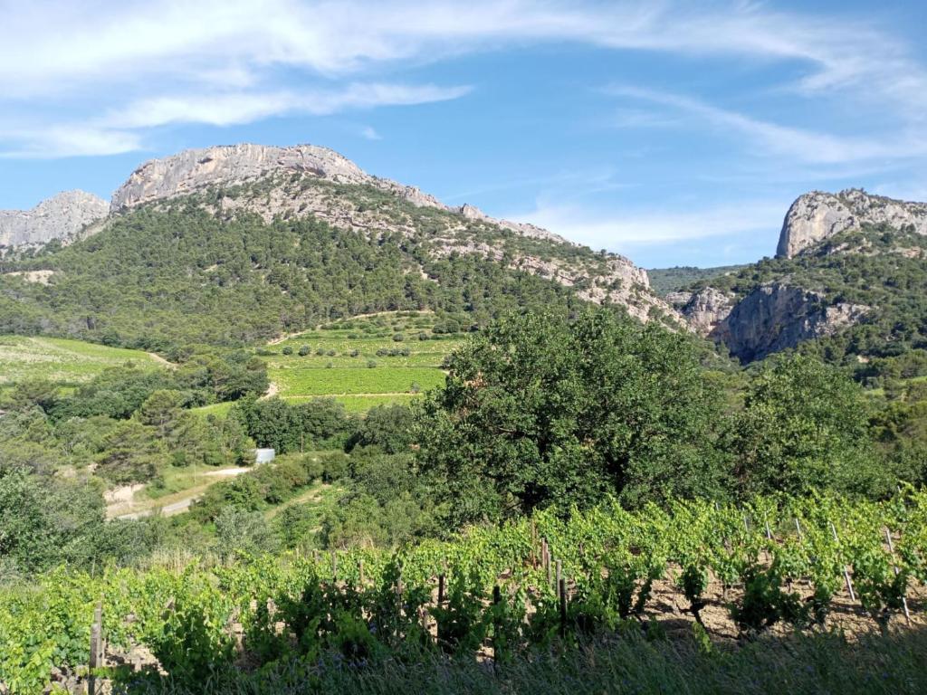 a view of a mountain range with trees and bushes at Le Pied-Redon in Lafare