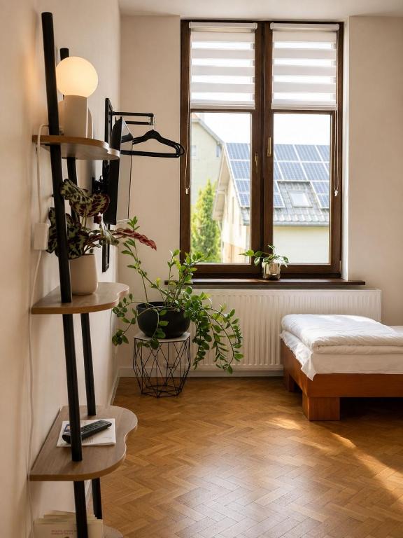 a room with potted plants and a window at Hotel Gryf in Gryfice