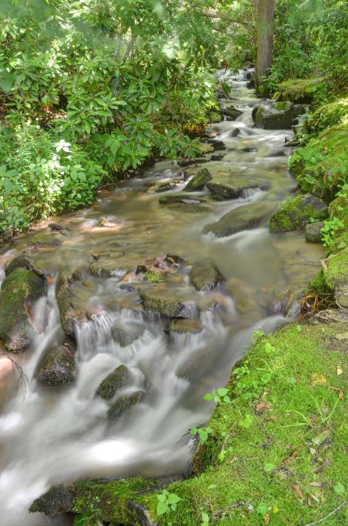 a stream of water with rocks in a forest at Panther Creek Cabins in Cherokee