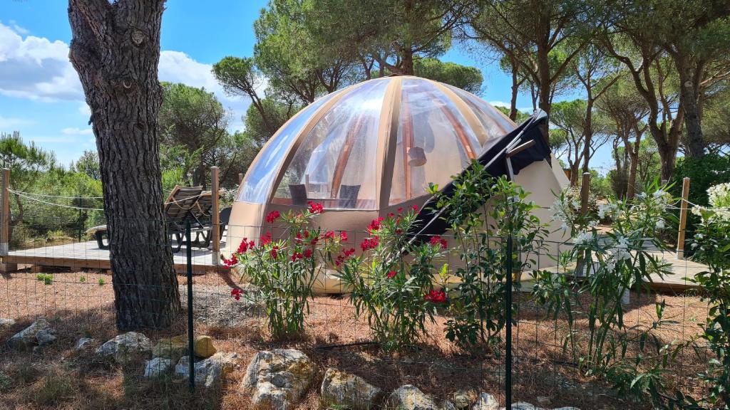 Camping Figurotta - immagine 4