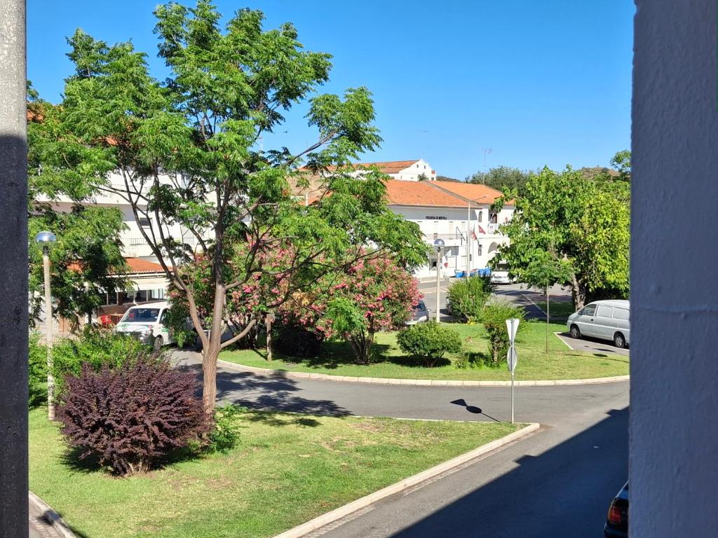 a street with a tree on the side of a road at Casa da Avenida in Mértola