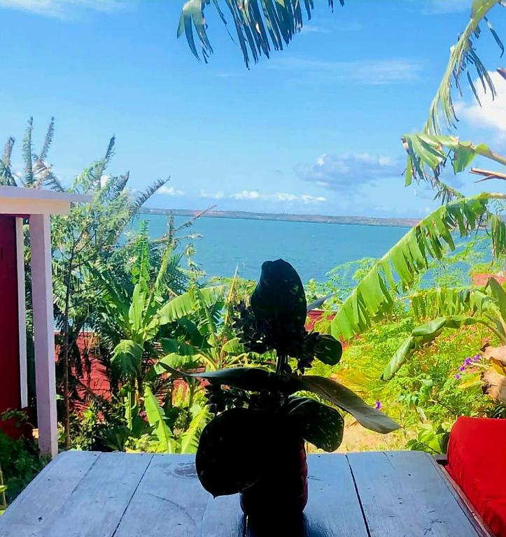 a plant sitting on top of a table with a view of the ocean at Maisonnette en bord de mer in Antsiranana