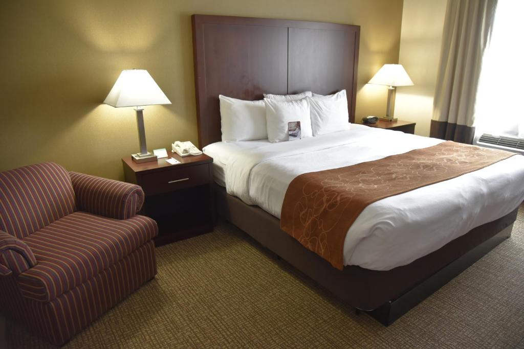 Comfort Suites Linn County Fairground and Expo photo
