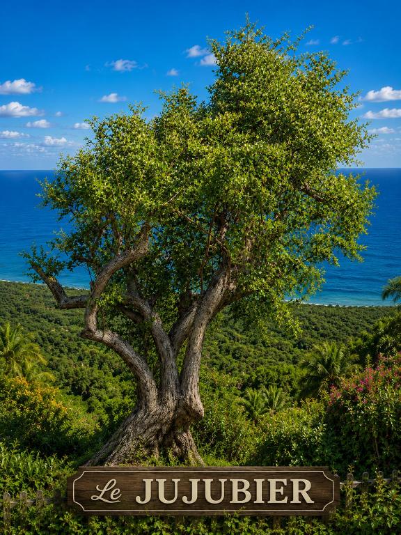a tree with a sign that reads be jupiter at Le JUJUBIER in Le Robert