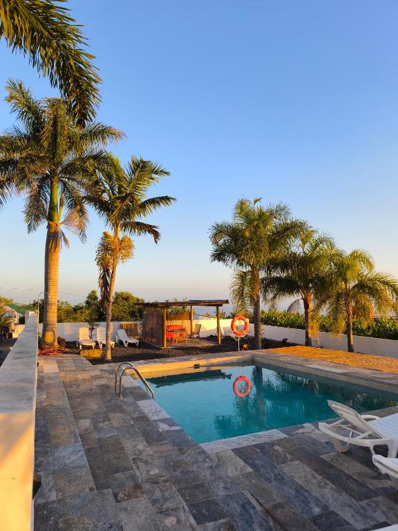 a swimming pool with palm trees and a resort at Los Padres B in Puerto de Tazacorte