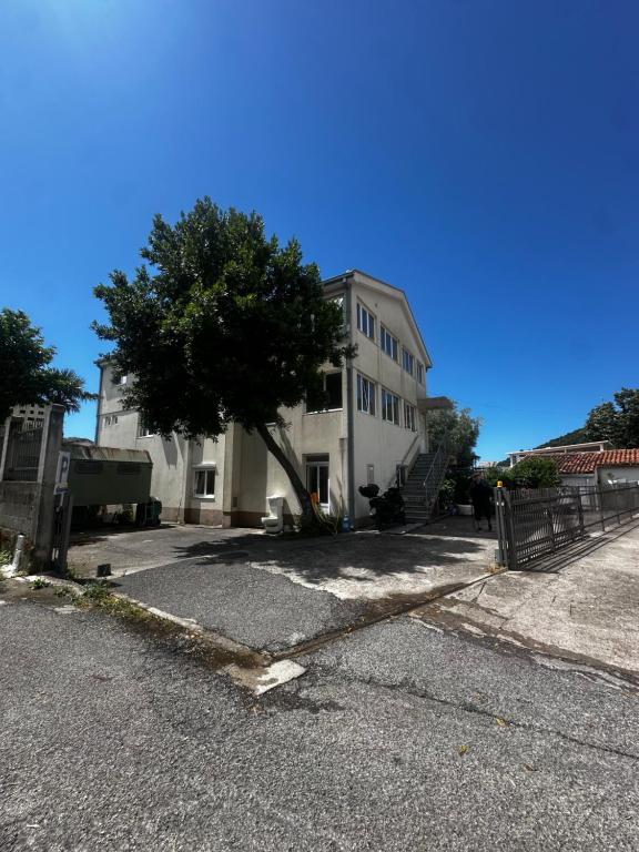 a white building with a tree in front of it at Villa primorka in Boreti