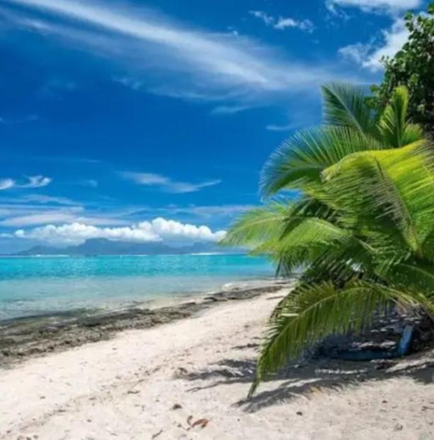 F2 Tahiti Lagoon Stays - photo 6 - Tahiti, Polynésie