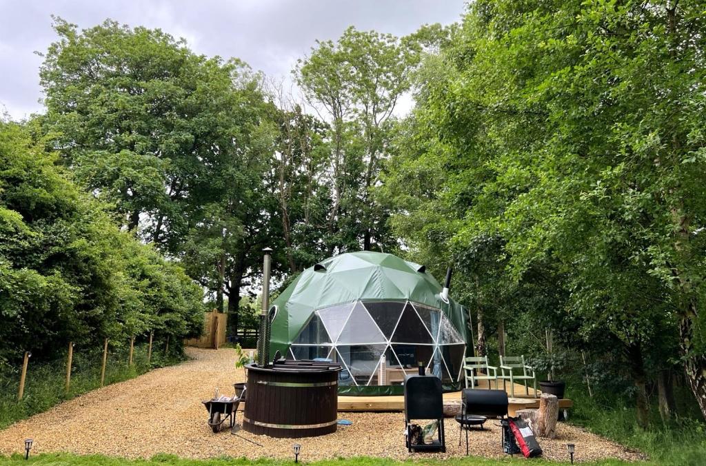 a green dome tent in the middle of a forest at Cherry Tree Dome in Smeeth