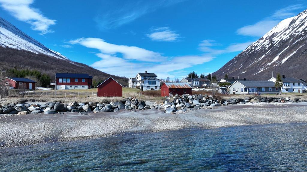 a herd of sheep crossing a river near a village at Oldervik Sea House in Tromsø