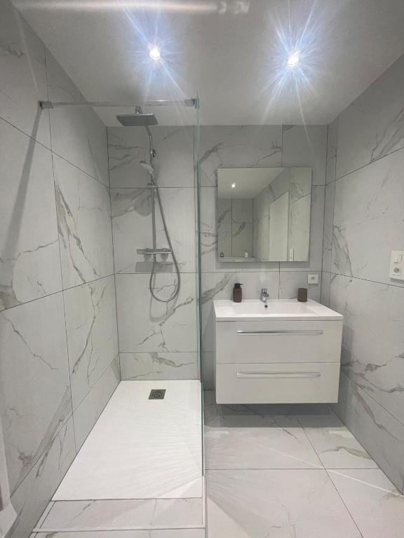 a bathroom with a sink and a shower with a mirror at Le 3eme Mistral in Molsheim