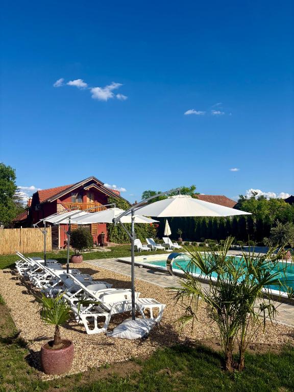 a row of white lounge chairs next to a pool at Eko Apartmani in Bački Petrovac