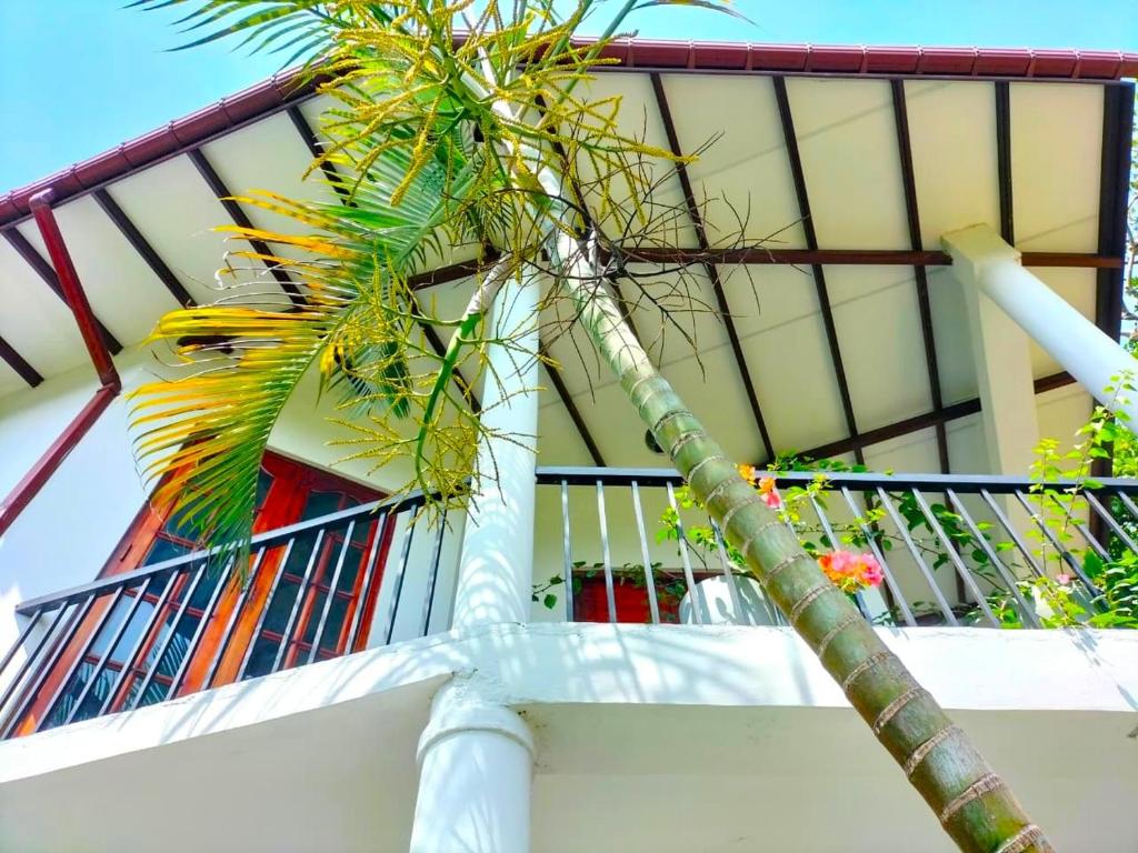 a palm tree in front of a building at Hidden Heaven Grove-Kandy in Kandy