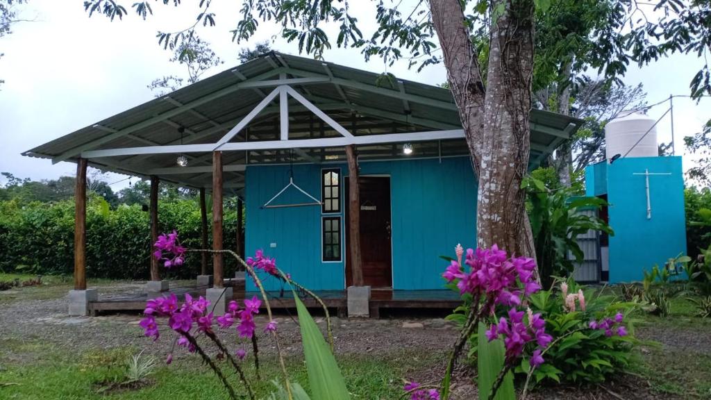 a blue house with a tree and purple flowers at El Carao in Talamanca