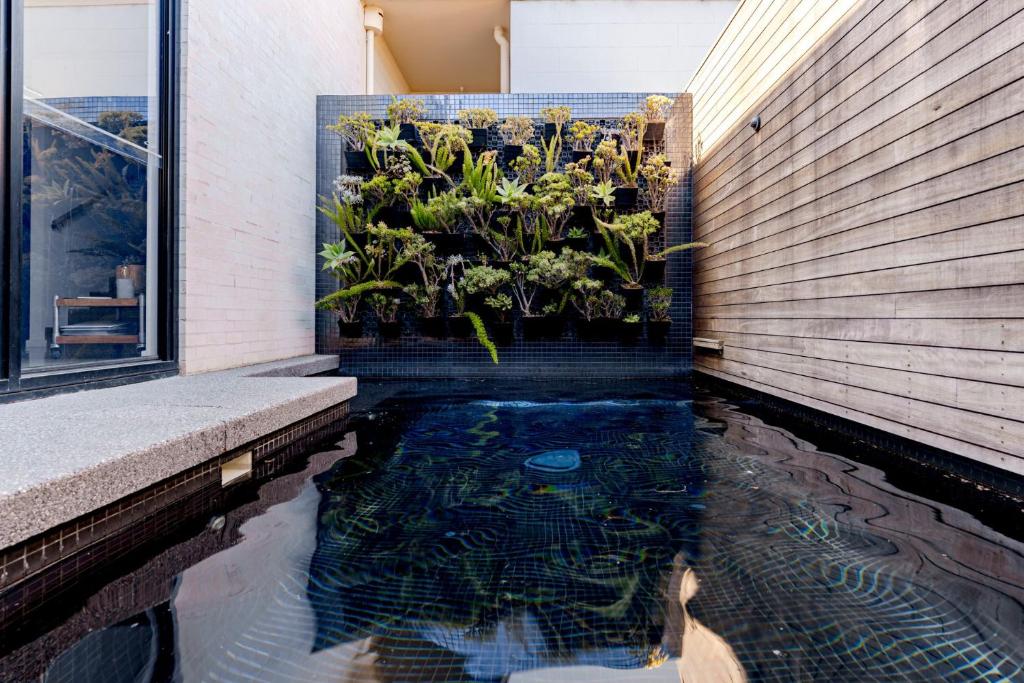 a fish pond in the floor of a house at Stella on Stevens in Queenscliff