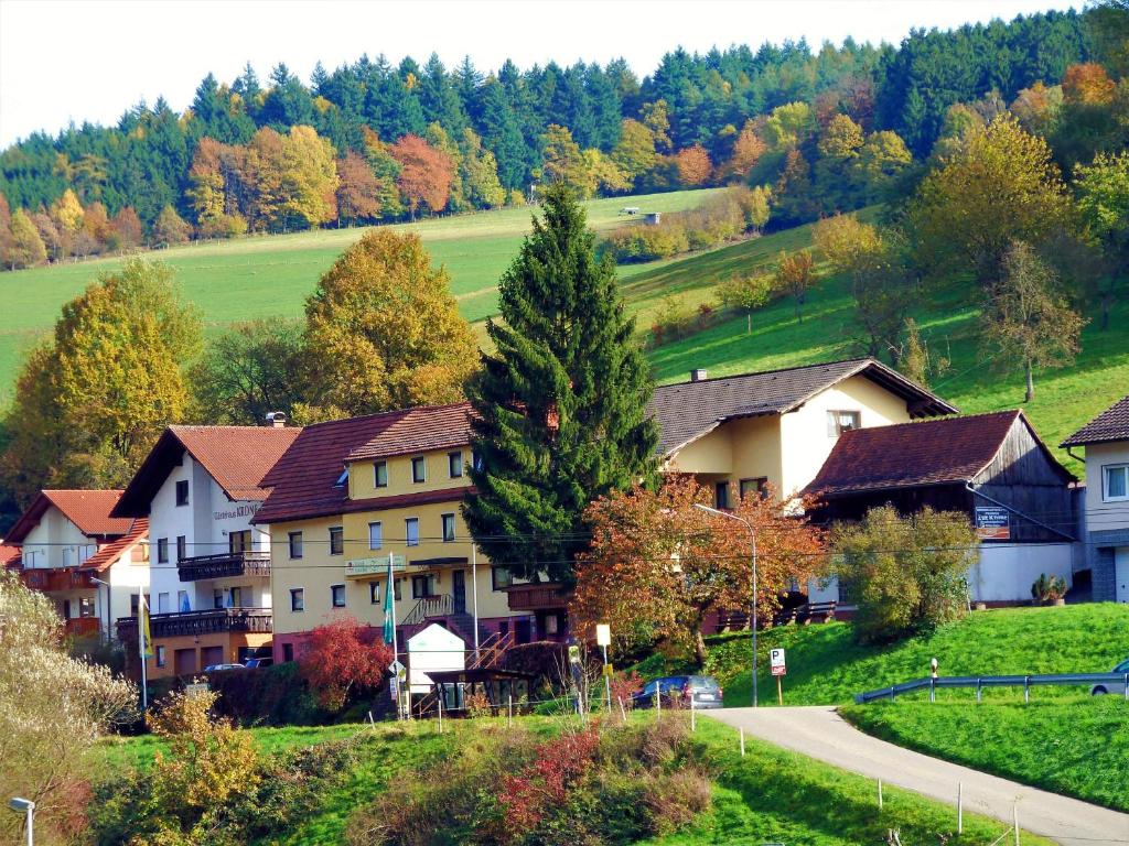 un groupe de maisons sur une colline à côté d'une route dans l'établissement Hotel Gasthof Zur Krone, à Beerfelden