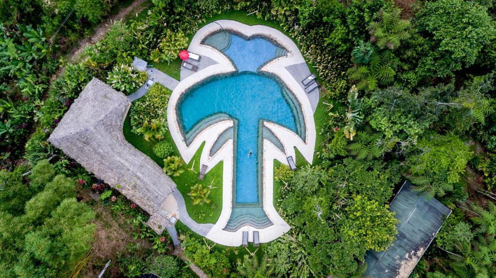 an overhead view of a water park with a fountain at Hakuna Matata Amazon Lodge in Archidona