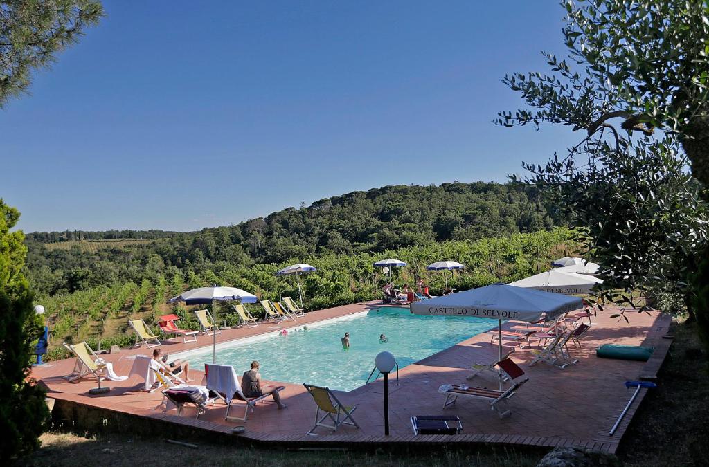 Bazén v ubytování Castello di Selvole nebo v jeho okolí