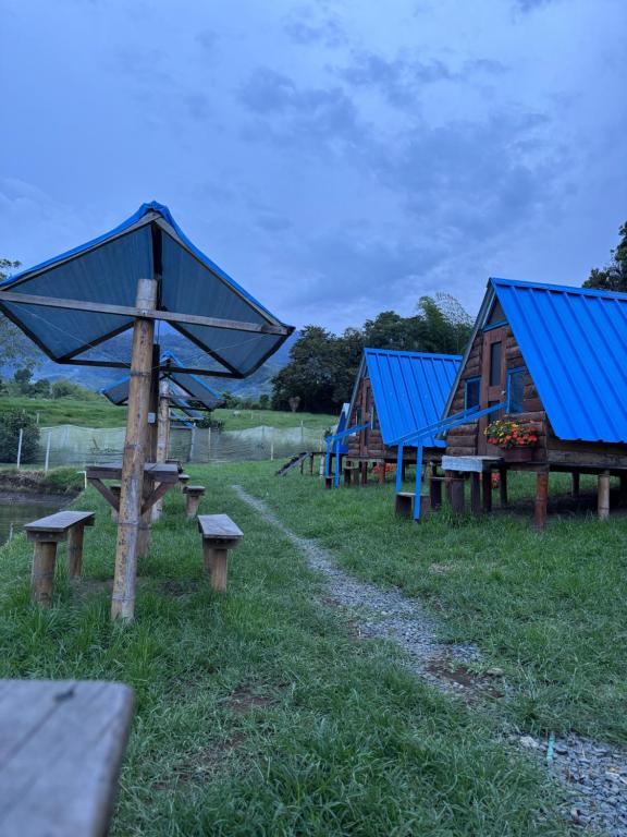 a group of houses with blue roofs and benches at Camping El Paraiso in Calima