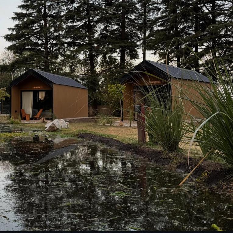 a building with a reflection in a pond with trees at Villa Vadori Suites in Falda del Carmen