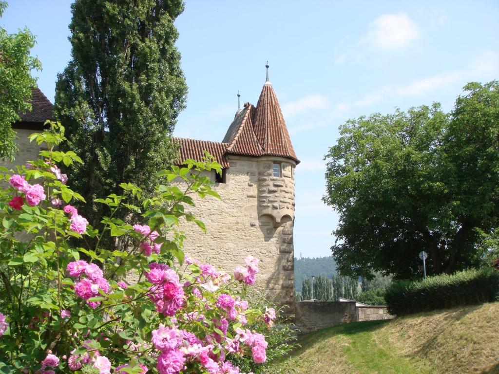 Zahrada ubytování Weingut Gästehaus Weigand