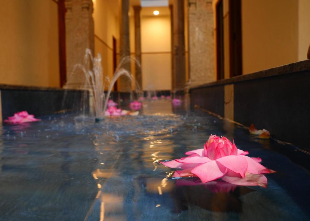 a pink flower sitting on top of a pool of water at Aranya in Thanjāvūr