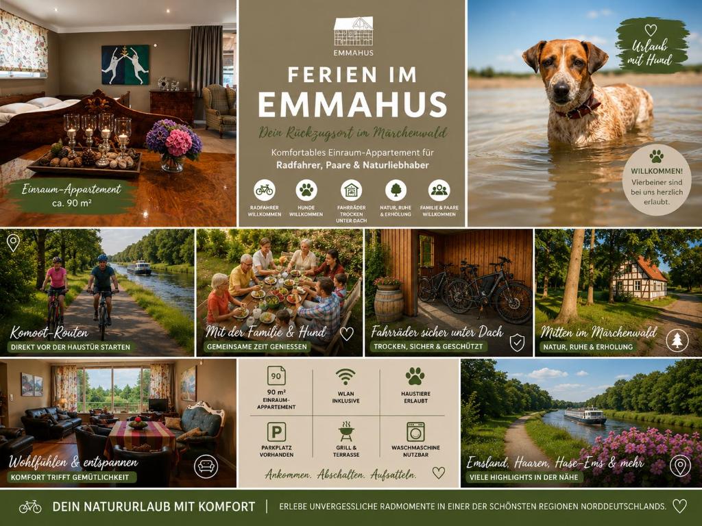 eine Collage von Bildern einer Webseite mit einem Hund in der Unterkunft Emmahus in Fürstenau