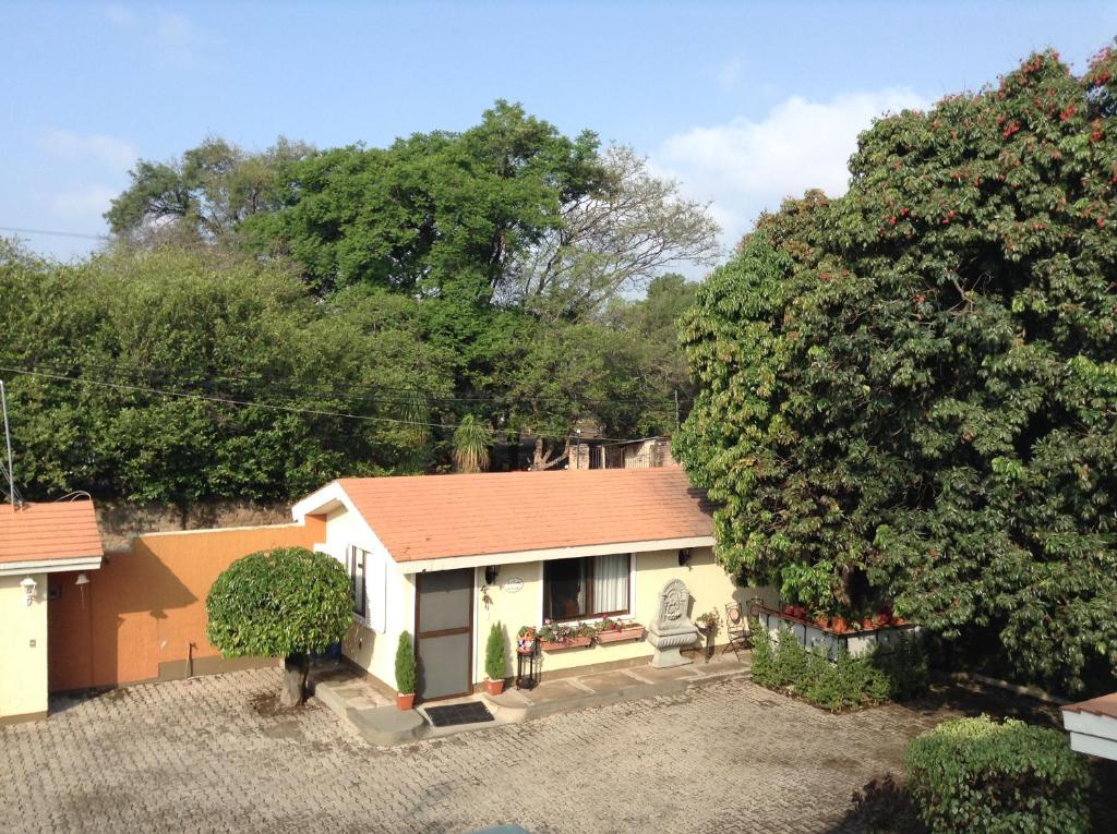 una pequeña casa con techo rojo junto a un árbol en La Casita de Fraida en Guadalajara