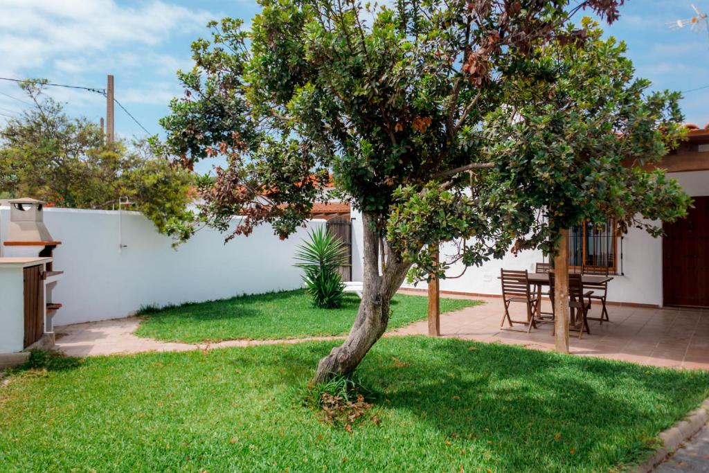 a tree in the yard of a house at Calma house Zahora in Zahora