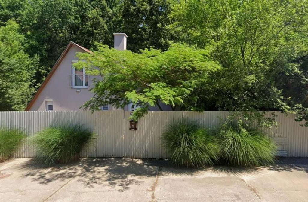 a fence in front of a house with grass at Gilbert Apartman in Doboz