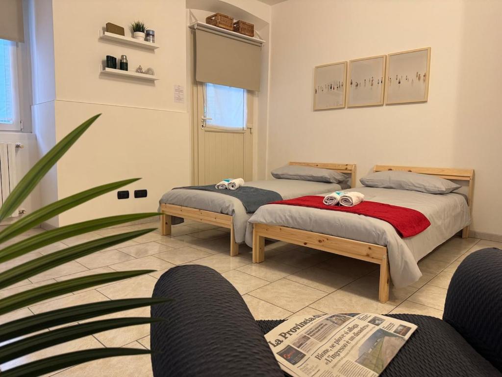two beds in a room with a potted plant at In Bottega Apt 1 in Bosisio Parini