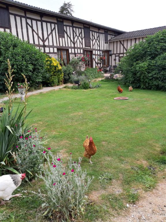a group of chickens in the yard of a house at La ferme sympa in Droyes