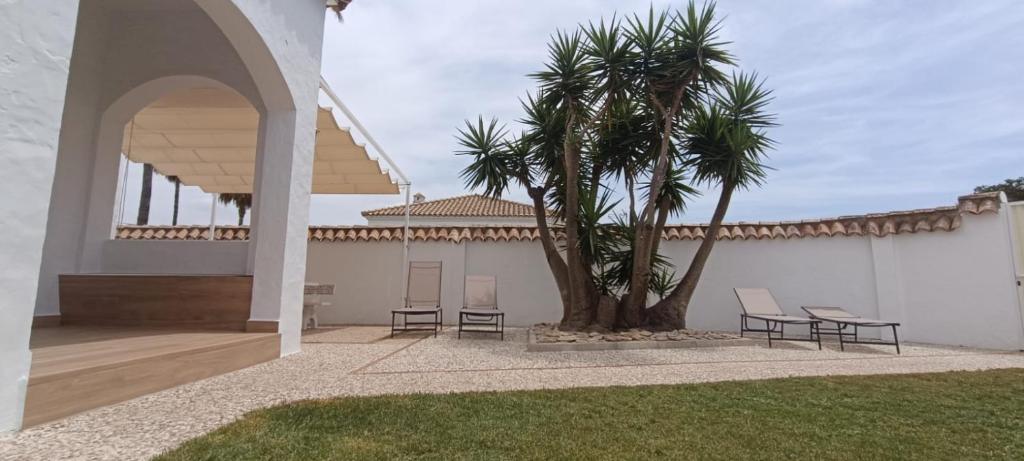 a patio with two chairs and a palm tree at Casa Albahaca in El Palmar