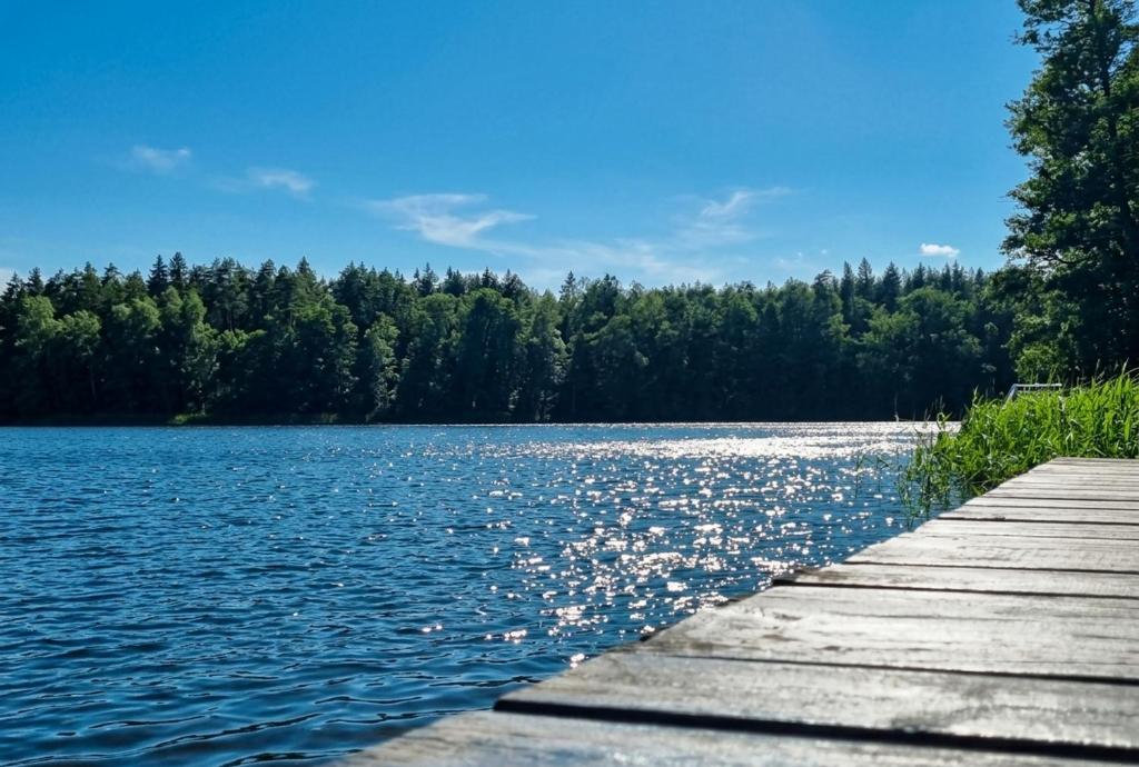 a dock on a lake with trees in the background at Domek Ostróda in Ostróda