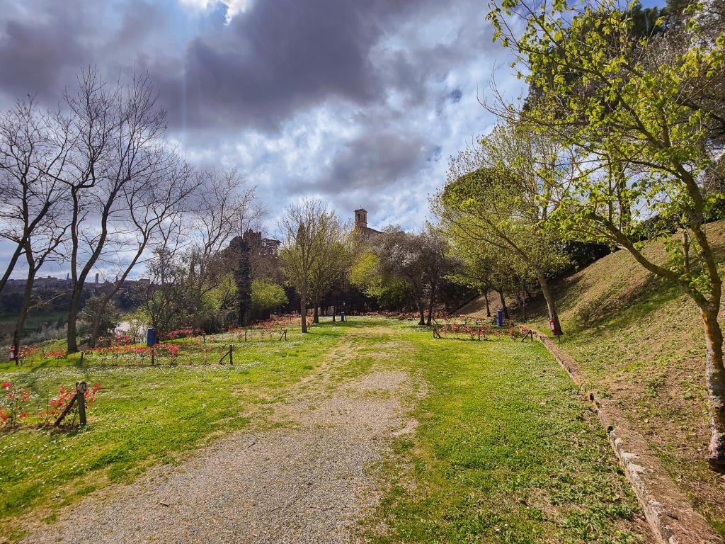 Camping Volterra