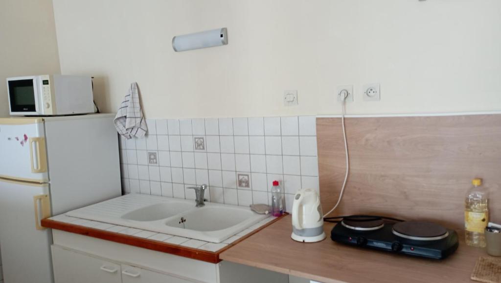 a kitchen with a sink and a white refrigerator at Le Platane in Brioux-sur-Boutonne
