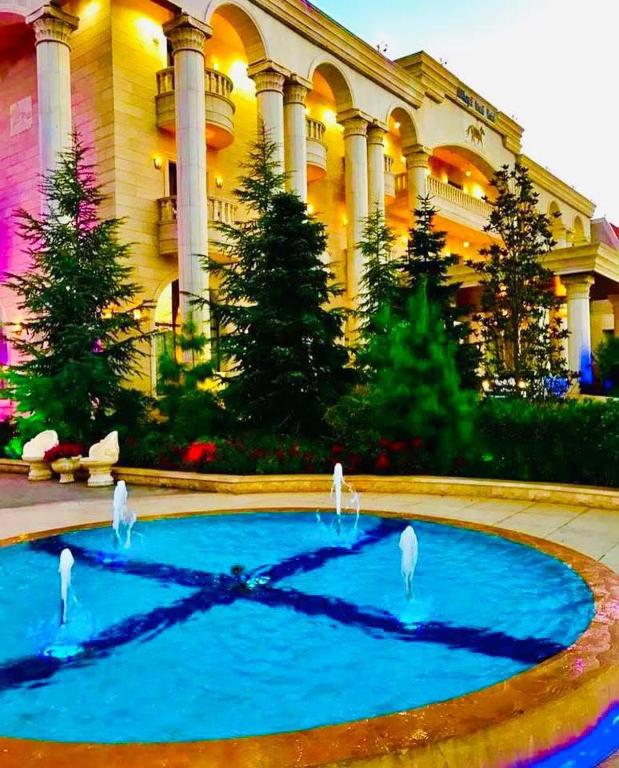 a group of birds sitting on top of a pool in front of a building at فندق الخيال الكبير in Zahlé