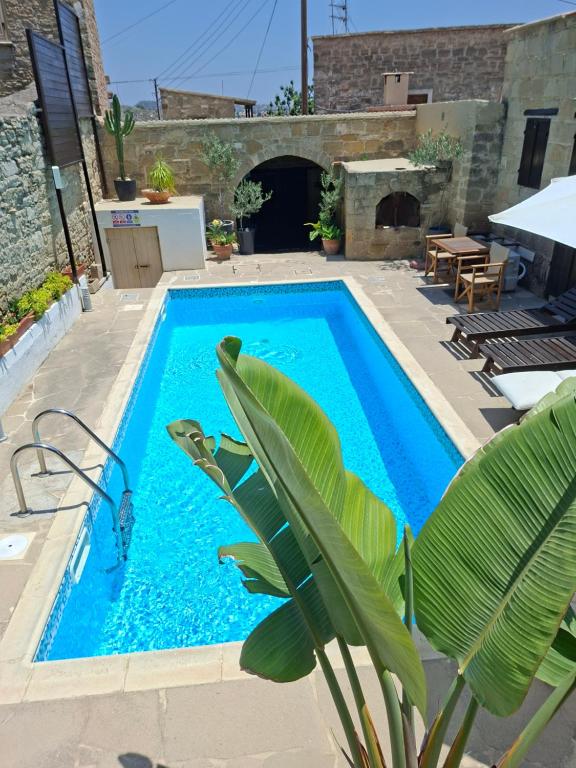 a pool in a yard with a plant next to it at Vrakas House in Tochni