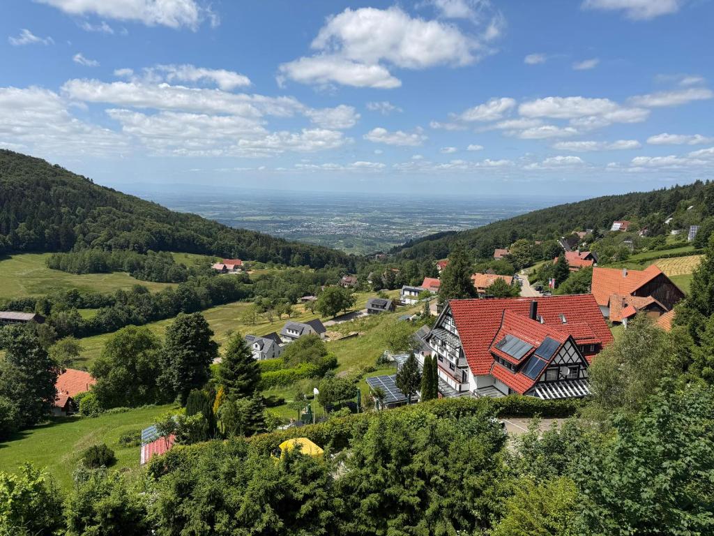 a village on a hill with houses and trees at Berghof Grüner Baum in Sasbachwalden