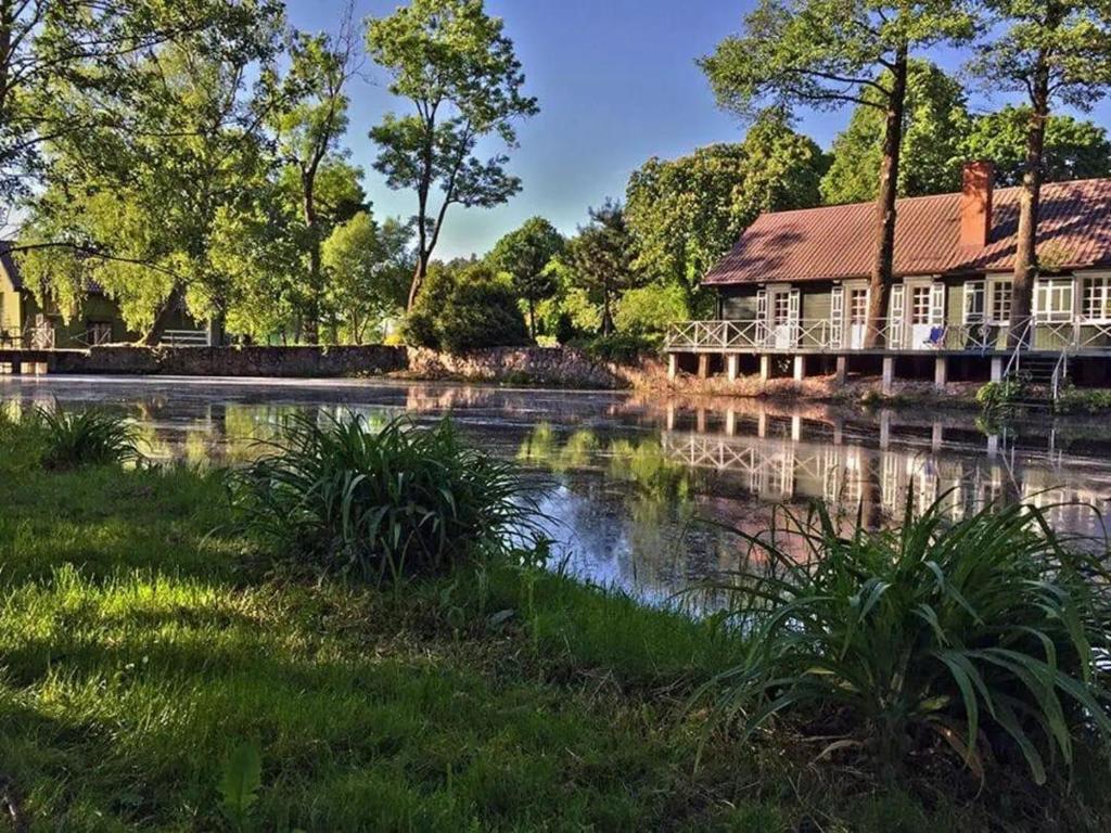 a house with a pond in front of a building at Malowniczy Dom nad samą rzeką, z pięknym widokiem in Litwinki