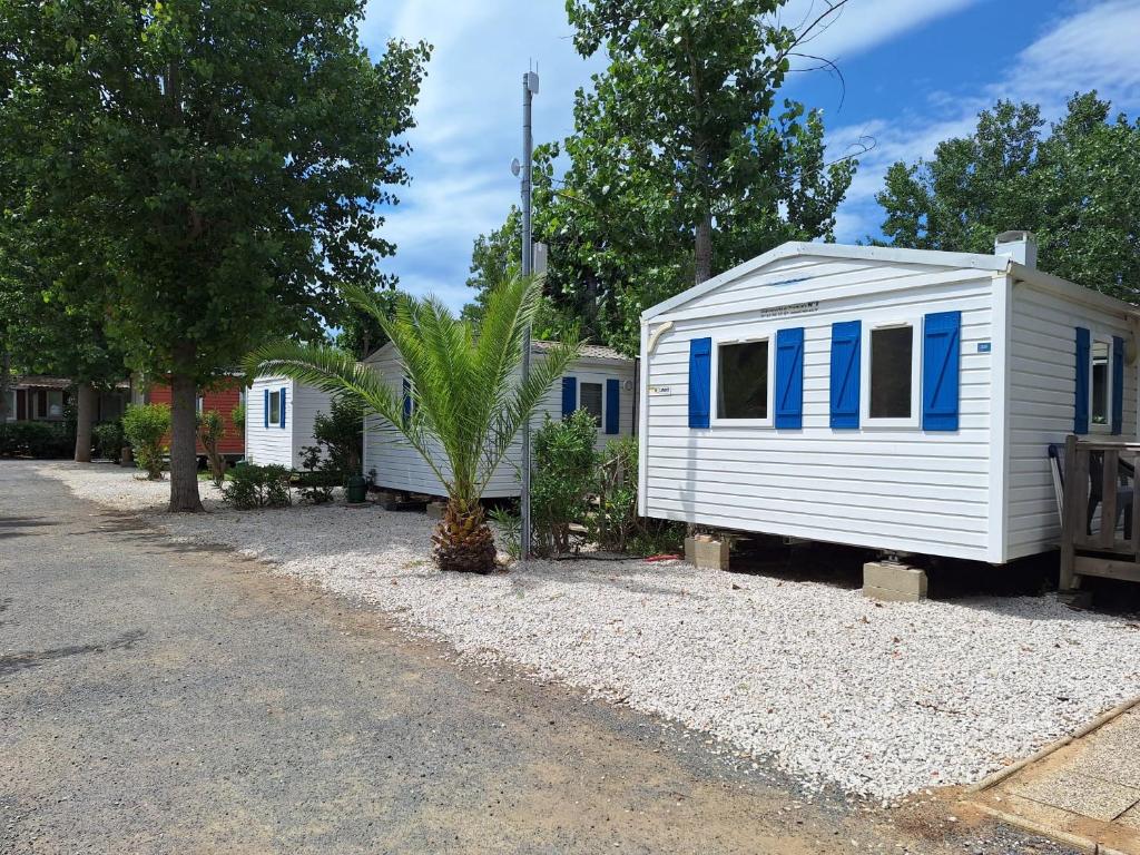a white tiny house with blue windows and a palm tree at Vias Plage Camping Salisses in Vias