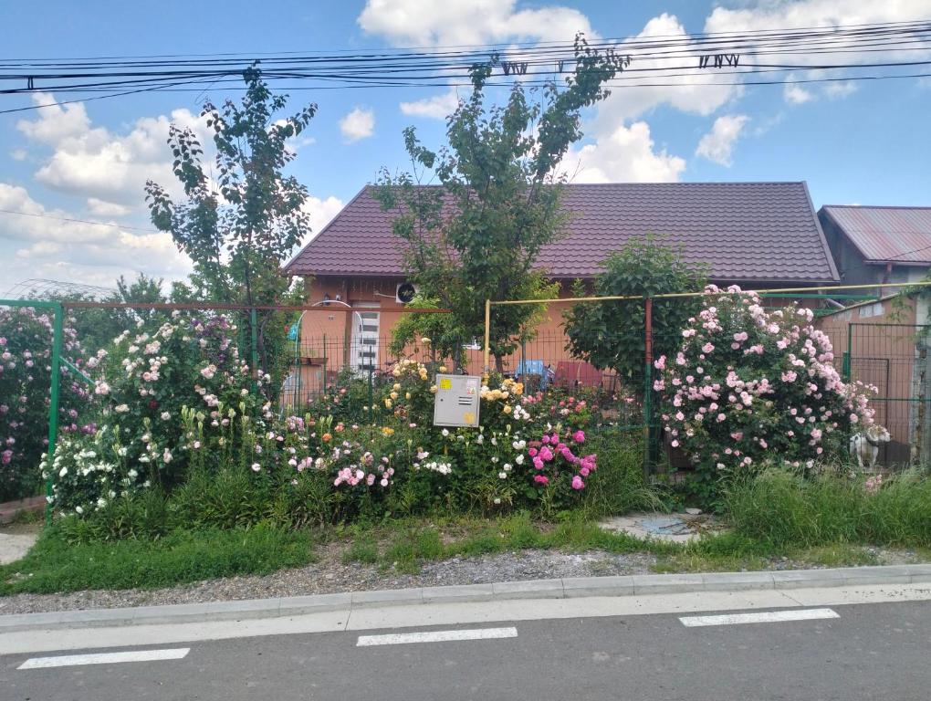 a bunch of flowers in front of a house at Garsoniera 20m2 anexată la casa proprietarului in Botoşani