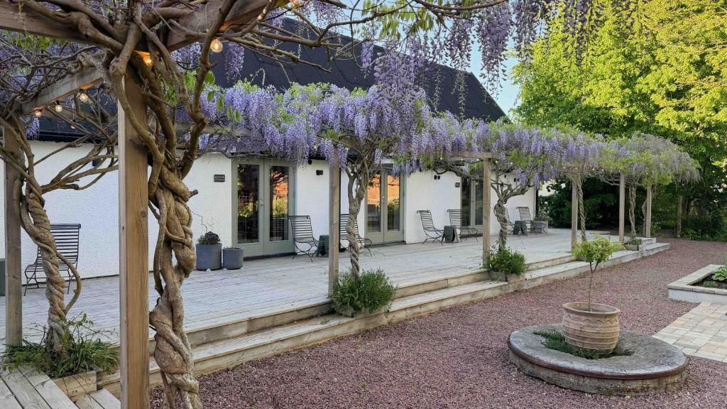 a garden with purple wisteria trees in front of a house at Wisteria Österlen in Simrishamn