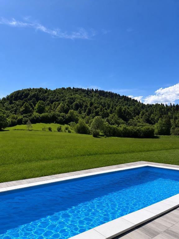 a blue swimming pool in front of a green field at Black Cabin Lokve in Homer
