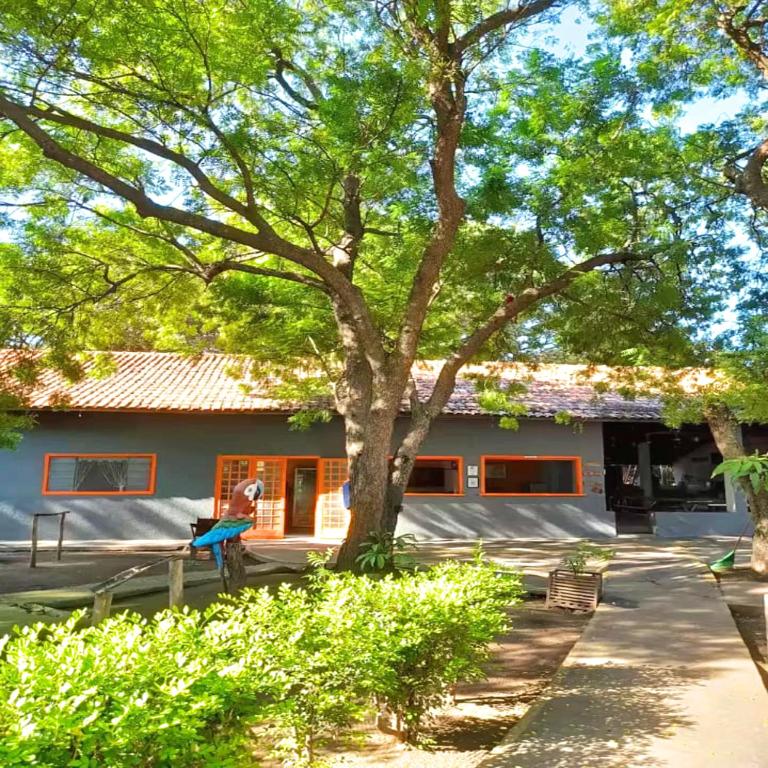 a house with a tree in front of it at Pousada & Camping Santa Clara in Santa Helena