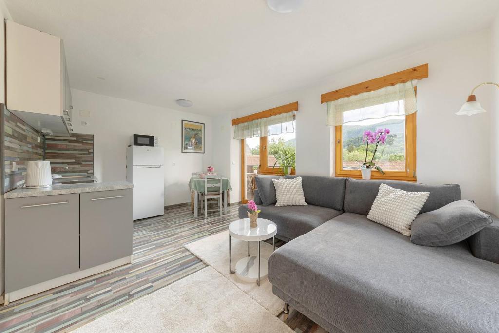 a living room with a couch and a kitchen at 3 Rivers Apartment in Radovljica