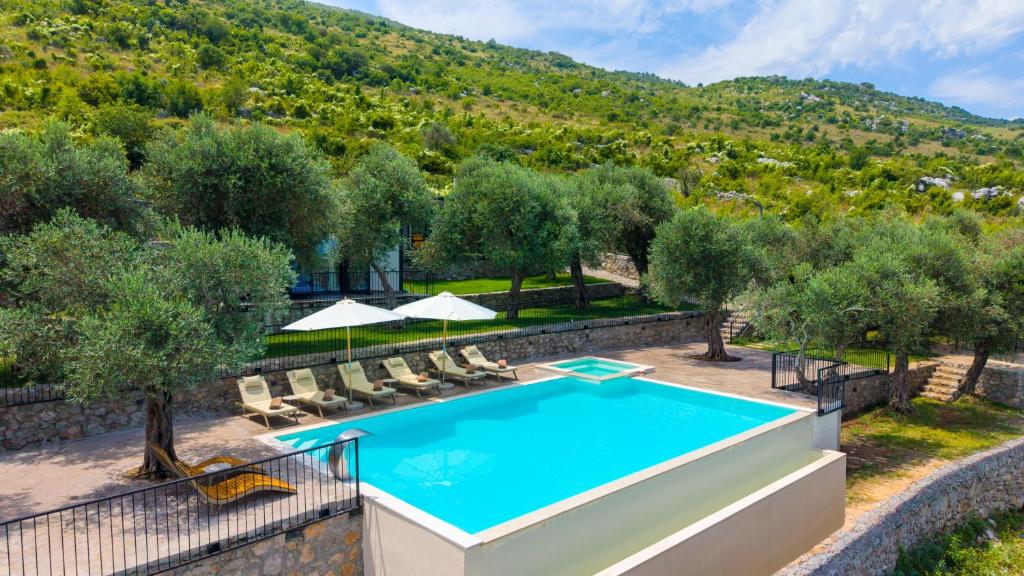 an image of a swimming pool at a villa at The Olive Garden in Shkodër